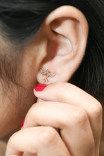 Load image into Gallery viewer, Celestial Grace