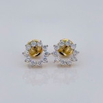 Load image into Gallery viewer, 0.35 Carat Earrings