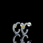 Load image into Gallery viewer, 0.49 Carat Hoop Earrings