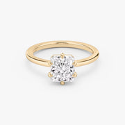 Radiant Cut - Pave Band - 6 Prong Classic Ring - 14 K Gold