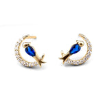 Load image into Gallery viewer, Silver Sparrow Earrings
