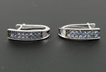 Load image into Gallery viewer, Labradorite 925 Sterling Silver Earrings
