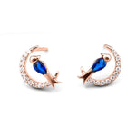 Load image into Gallery viewer, Silver Sparrow Earrings
