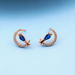 Load image into Gallery viewer, Silver Sparrow Earrings
